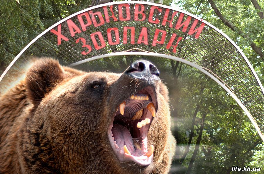 Харьковский зоопарк установил новогодние расценки